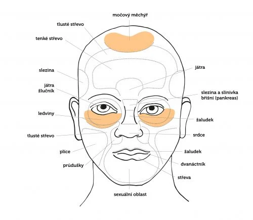 Pohledova diagnostika - ledviny-mechyr
